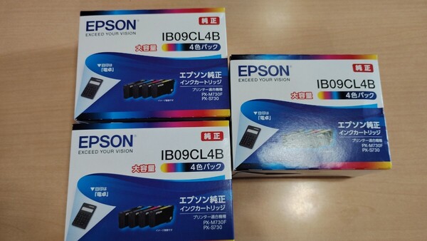 EPSON エプソン インクカートリッジ IB09CL4B4色パック大容量3個セット