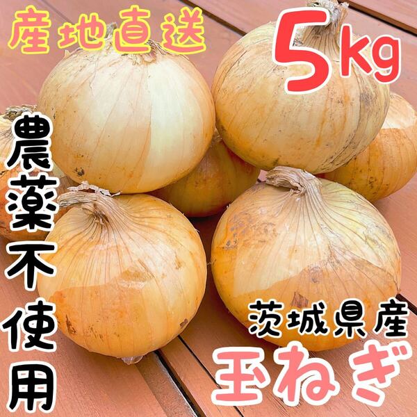 数量限定【農薬不使用】玉ねぎ5Kg!超お得