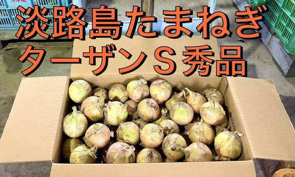 淡路島たまねぎ 10kg 【産地直送】S/秀品/ターザン