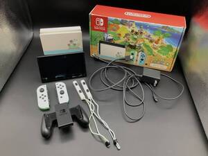 n1400 Nintendo Switch ニンテンドースイッチ 本体 あつまれ どうぶつの森セット 通電確認済 動作確認済 中古