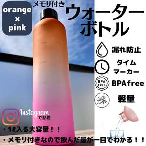 ウォーターボトル モチベーション オレンジ ピンク 橙 桃 水筒 メモリ 話題