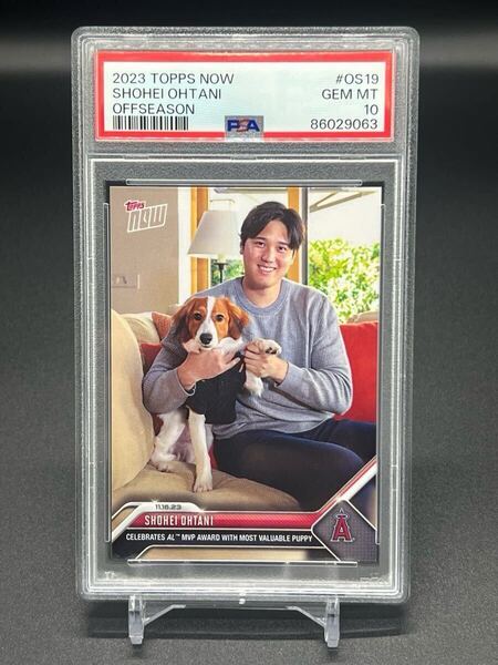 PSA10! 2023 Topps Now Shohei Ohtani Decoy 大谷翔平 デコピン MVP OS19 鑑定済み MLB Dodgers Angels ドジャース エンゼルス WBC 日本