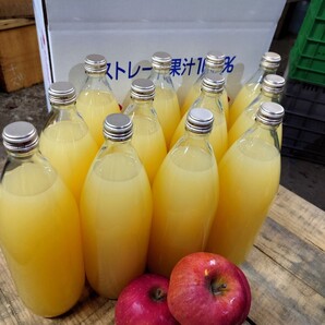 青森りんご サンふじ100% りんごジュース 1L12本入り 送料込 春絞り濃いめ
