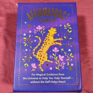Mystical Wisdom Card Deck 英語版解説書付き