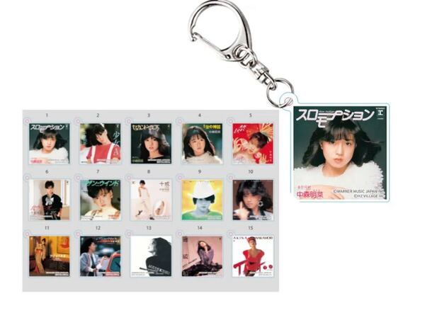 中森明菜 キーホルダー コンプリート 15テン 写真展 おまけ チラシ スクラッチ付き