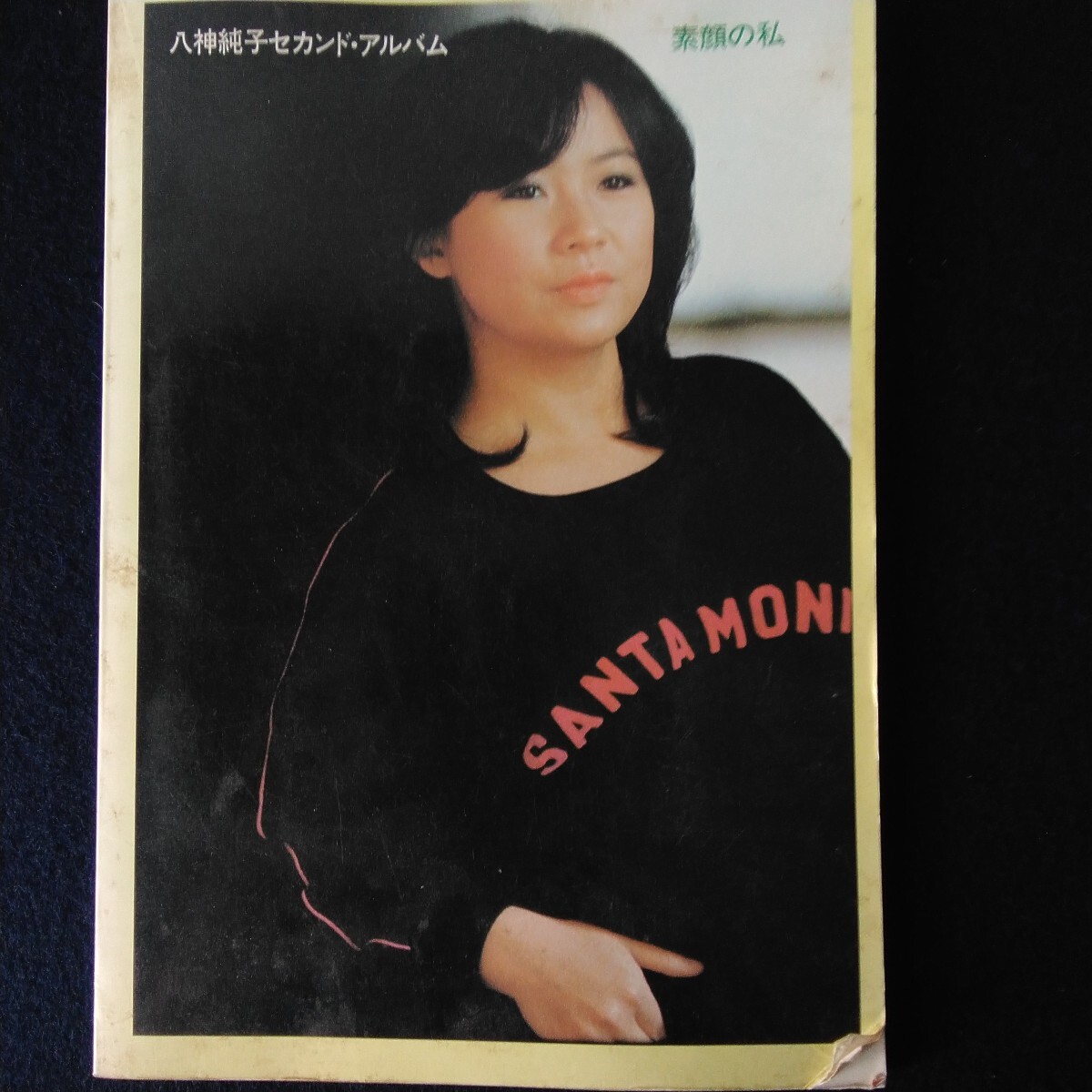 City Pop Vintage Vinyl - LP【Midori Kinouchi – garasuzaka