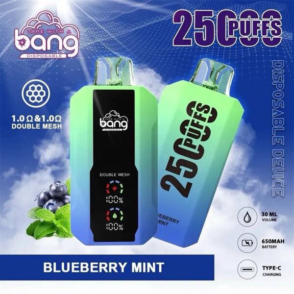 ニコパフ 25000puffs bang 電子タバコ 25000PUFFS 手持ちシーシャ BANG Vape Bang ミックスフルーツ