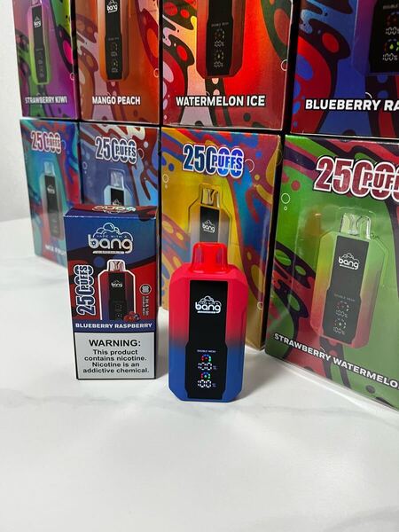 ニコパフ bang 25000PUFFS 手持ちシーシャ Bang vape