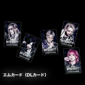 新品未使用【RAZOR】猟牙/剣【INTENSITY】【エムカード】ダウンロードカード/5人フルメンバーコンプリートセット※送料無料※BS016