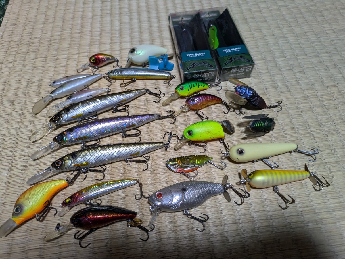 Yahoo!オークション -「エバーグリーン」(スポーツ、レジャー