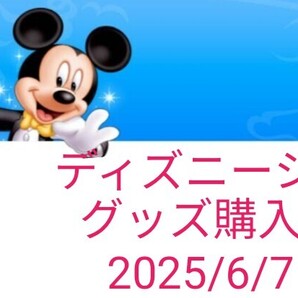 6/7ディズニーシー グッズ購入用 リーナベル オンラインショッピング用 ダッフィー TDS