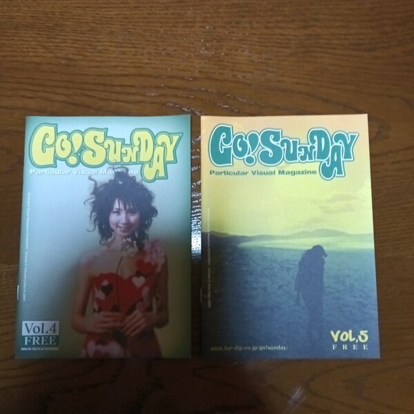 GO SUNDAY Particular Visual Magazine Vol.4 & Vol.5 / 2冊セット 新品未使用品