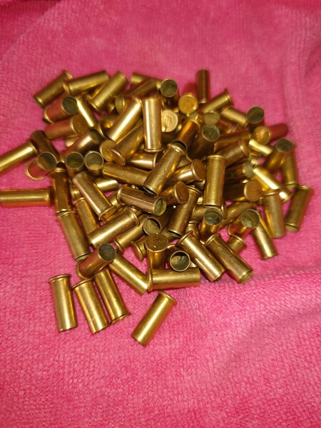 22ロングライフル 22LR 空薬莢 100個 ウッズマン ワルサーGSP ベアキャット 10/22 ルガー マーク1 MGC CMC ハドソン