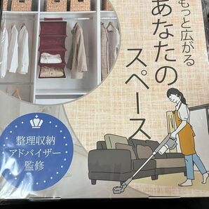 ★★◎即購入OK 整理収納アドバイザー監修 吊り下げ収納 クローゼット 青 衣類 バスタオル 吊るす収納