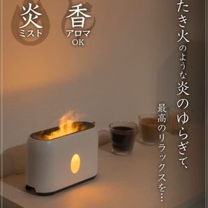 THANKO サンコー 焚き火 「ミストでTAKIBI」 加湿器 卓上