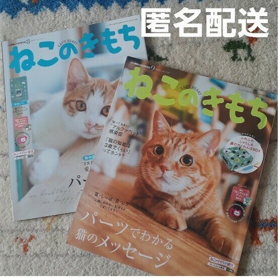 ねこのきもち 2018年 8月号 9月号 夏特集 ネコ ねこ ベネッセ ペット ペット雑誌 動物