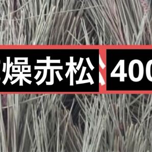 乾燥赤松 400 無農薬 松の葉 野菜 松葉