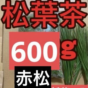 無農薬新芽のみ松の葉 松葉茶600g即購入可 即日発送 朝取れ 農薬不使用、