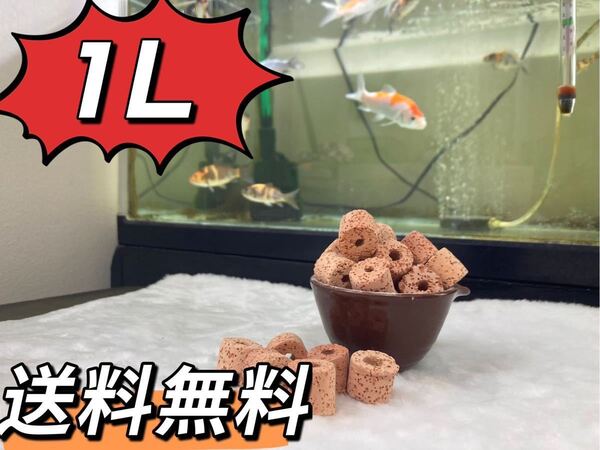 ろ材濾過材水槽フィルター水質浄化抜群高品質多孔溶岩石パワーリング1L当日発送 金魚 熱帯魚 水草 メダカ 淡水魚 アロワナ ダトニオ