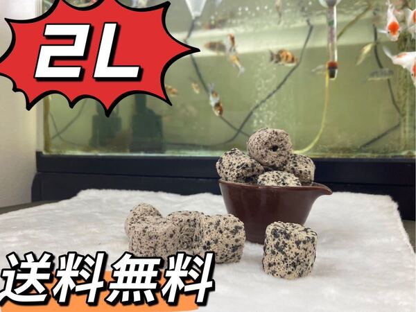 ろ材フィルター濾過材高品質納豆菌パワーリング2L送料込み当日発送 金魚 熱帯魚 水草 メダカ 淡水魚 アロワナ ダトニオ 水質浄化