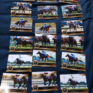 G1馬 (j-g1)セット18枚 EPOCH ホースレーシング トレーディングカード~ 2024下半期総集編 ~