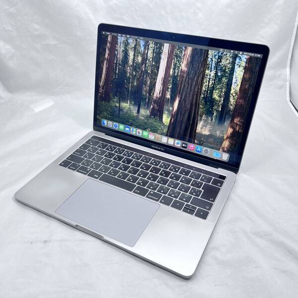 APPLE MacBook Pro (13インチ, 2019, Thunderbolt 3ポート x 2) スペースグレー (Core i5-1.4GHz_16GB_256GB)_#300882