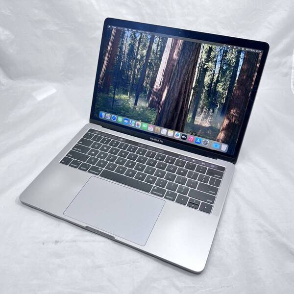 APPLE MacBook Pro (13インチ, 2019, Thunderbolt 3ポート x 2) スペースグレー (Core i5-1.4GHz_16GB_256GB)_英語キーボード_#300883