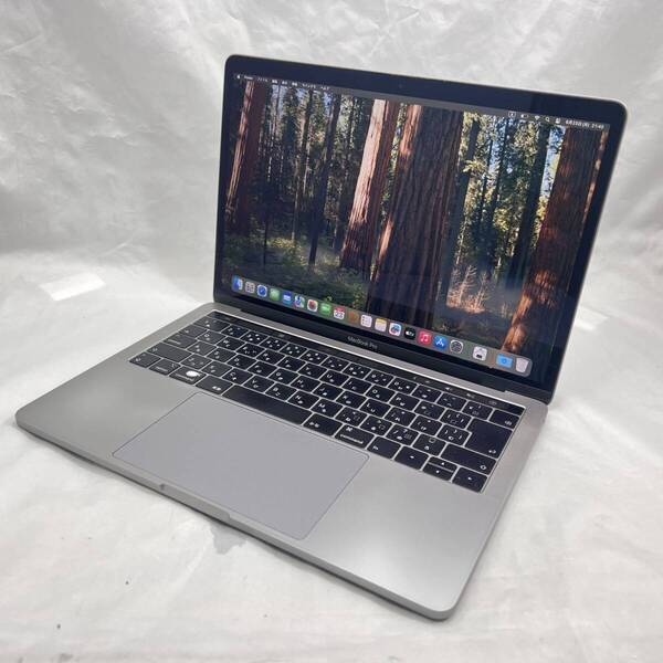 APPLE MacBook Pro (13インチ, 2019, TB3x2) スペースグレー (Core i5-1.4GHz_16GB_256GB)_キー摩耗_#300898