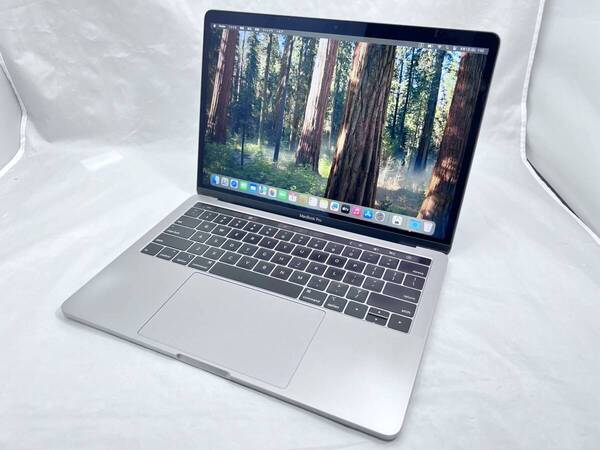 APPLE MacBook Pro (13インチ, 2019, Thunderbolt 3ポート x 2) シルバー (Core i5-1.4GHz_16GB_256GB)_英語キーボード_#300840