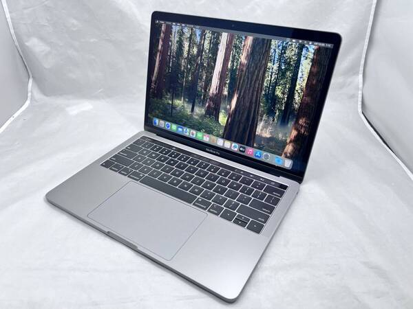 APPLE MacBook Pro (13インチ, 2019, Thunderbolt 3ポート x 2) シルバー (Core i5-1.4GHz_16GB_256GB)_英語キーボード