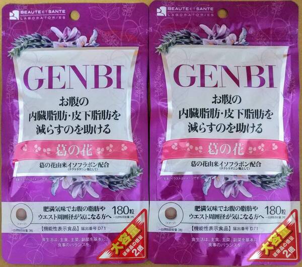 【処分大特価】インフィニティー 大容量 GENBI げんび 2袋計120日分 葛の花由来イソフラボン サプリメント 機能性表示食品