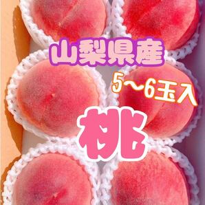 pg31 山梨県産 桃 ちよひめ はなよめ 5〜6玉入り