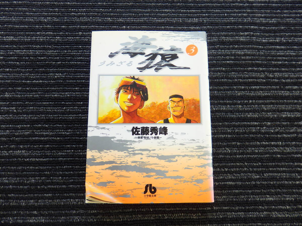 【中古】 海猿 追跡/小学館/佐藤秀峰 中古】 海猿 追跡/小学館/佐藤秀峰 Amazon.co.jp: 海猿 空を (My