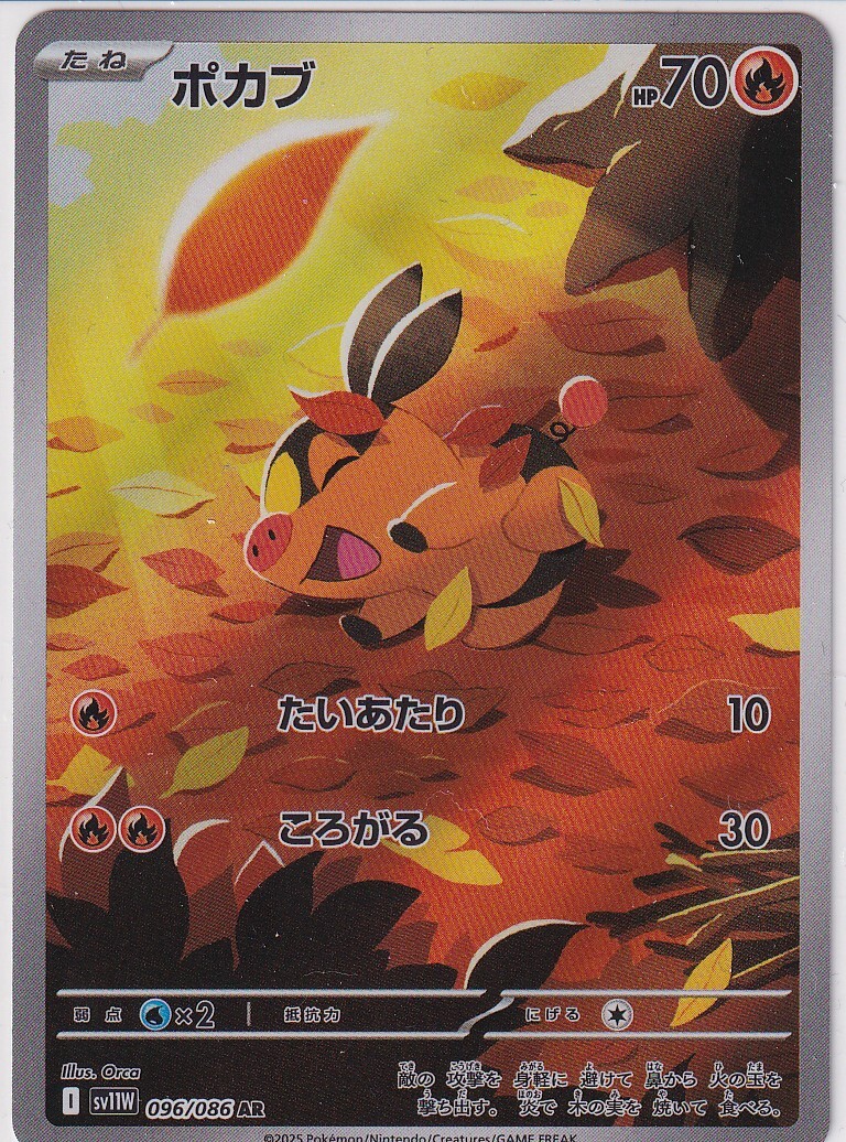 ポケモンカード ポカブ 進化ライン AR 各10枚 30枚セット まとめ売り まとめ売り】ポケモンカード ポカブ チャオブー エンブオー 進化