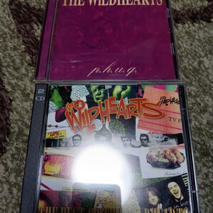 ザベストオブワイルドハーツ