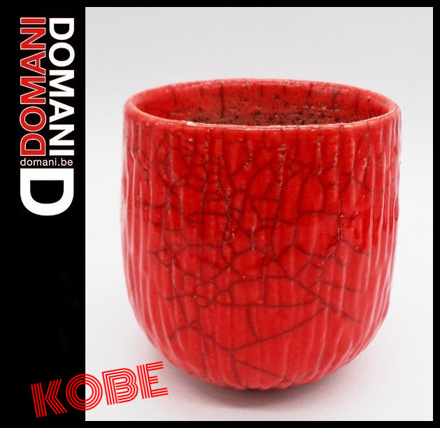 2025年最新】Yahoo!オークション -domani 鉢(花、園芸)の中古品