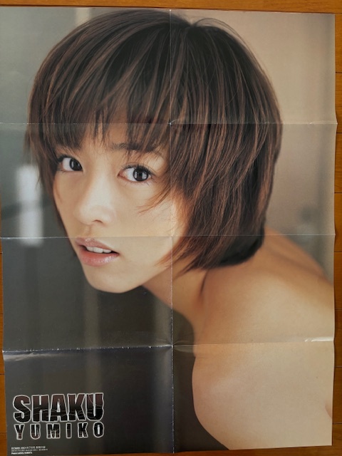 「釈由美子」CD販促用B2サイズポスター(非売品・新品) 2025年最新】Yahoo!オークション -釈由美子 ポスターの中古品