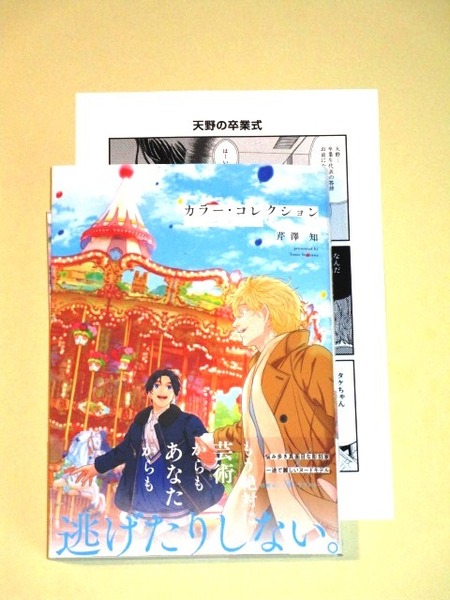 ●『カラー・コレクション -PARADE-』 芹澤知(ペーパー付/未読品)