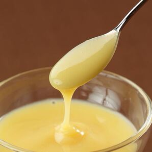 生ローヤルゼリー 天然100% 2025年春の新物 500g 貴重な天然健康食品 農家自家製 蜂蜜 ハチミツ