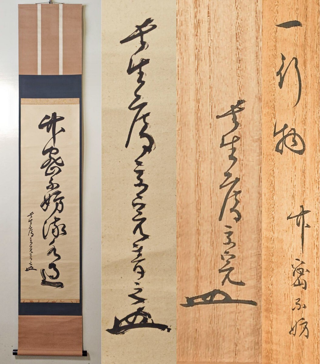 専用 掛軸 表千家 堀内宗完筆 一行書 「秋菊有佳色」 共箱 C 6175A Yahoo!オークション -「堀内宗完」(掛軸) (書)の落札相場・落札価格