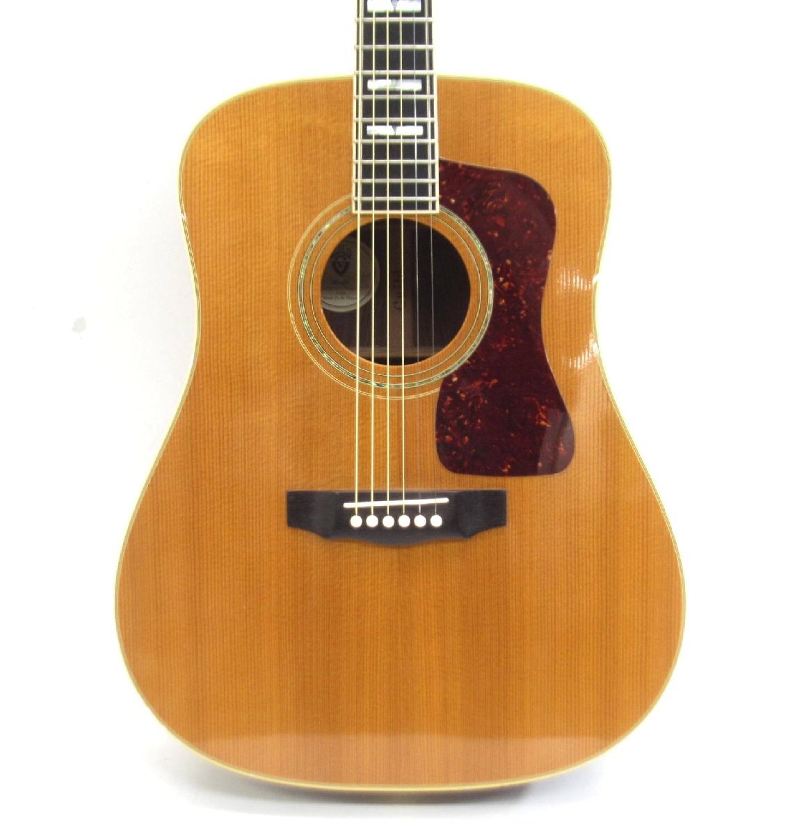 Fender FLAT-TOP DREADNOUGHT ACOUSTIC GUITAR CASE