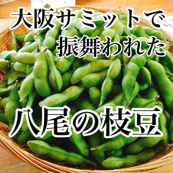 今しか食べられない!大阪八尾の枝豆 秀品 箱込み700g 送料無料