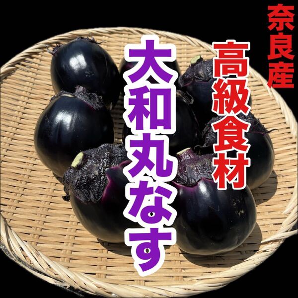 奈良県産 高級食材 大和丸なす 箱込み2キロ弱 送料無料