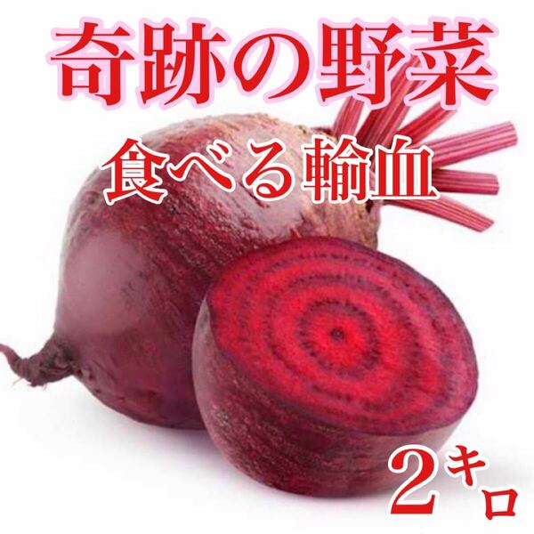 奇跡の野菜!スーパーフード 食べる輸血ビーツ 約2キロ 送料無料