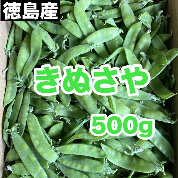 徳島県産 きぬさや 訳あり品 500g ネコポス 送料無料