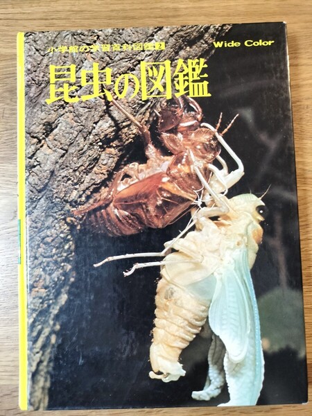 昆虫の図鑑 ワイドカラー(小学館の学習百科図鑑2)