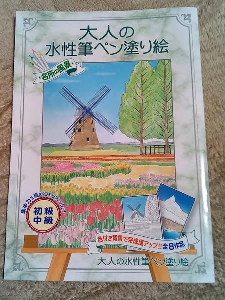 送料無料♪★最後の1点です!★ 大人のぬりえ【大人の水性筆ペン塗り絵】風景 絶景 城 山 ぬり絵 塗り絵 初心者に 認知症予防 脳トレ