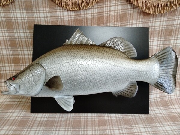 ハンドメイド 50cmアカメ壁掛け レプリカ オブジェ フィギュア 怪魚釣り fish craft REAL
