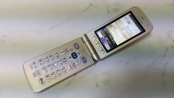 S2852 docomo SIMフリー らくらくホン F-02J FUJITSU 4Gガラホ 簡易動作確認&簡易清掃&初期化OK 判定○ WebにてSIMロック解除手続受付済