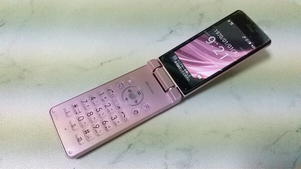 S2973 docomo SIMフリー AQUOSケータイ SH-02L SHARP 4Gガラホ 簡易確認&初期化OK 判定○ 送料無料 WebにてSIMロック解除受付手続済み